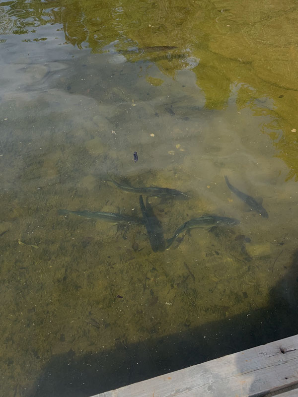 Canada Fly-in Fishing Trips