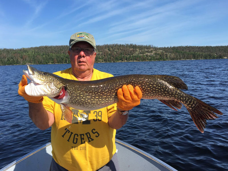 Northern Ontario Pike Fishing